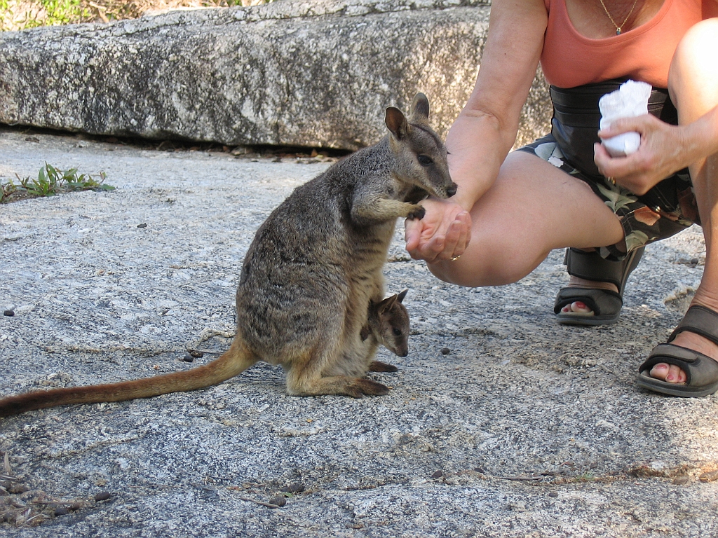 CairnsTC131 Granite Gorge.jpg